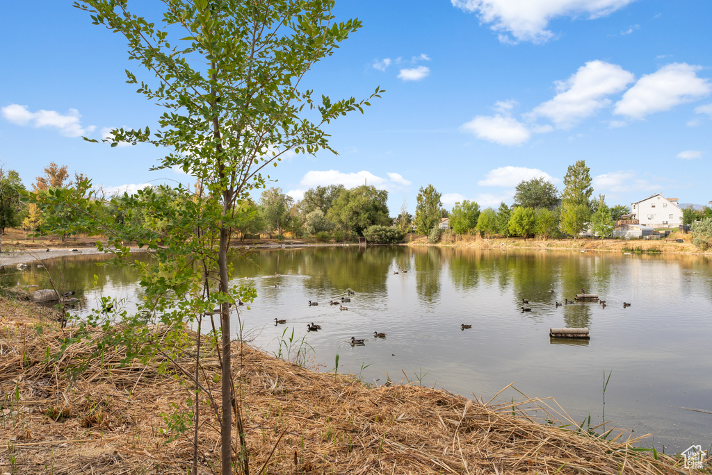 795 E SUNRISE VIEW DR Draper, UT 84020