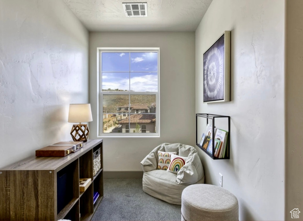 Photo 26 for MLS #2113723 at 2323 E Escondido Dr