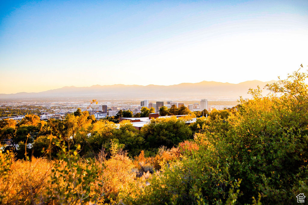833 E 13TH AVE Salt Lake City, UT 84103