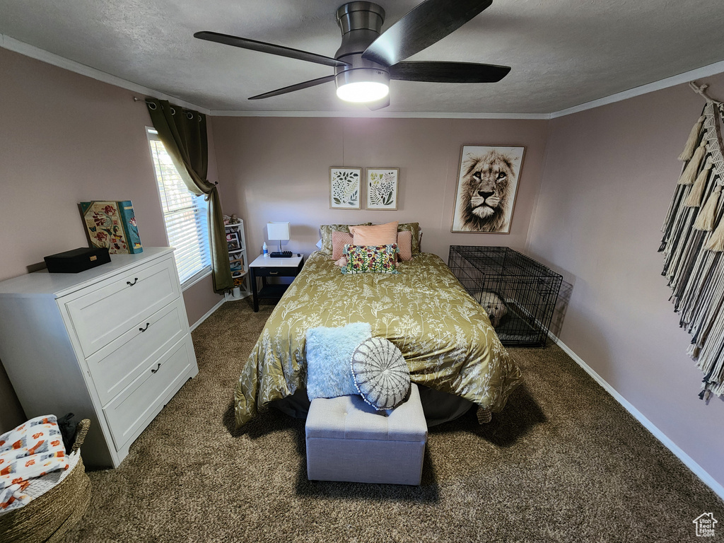 Photo 12 for MLS #2113823 at 874 W Mount Nebo Dr