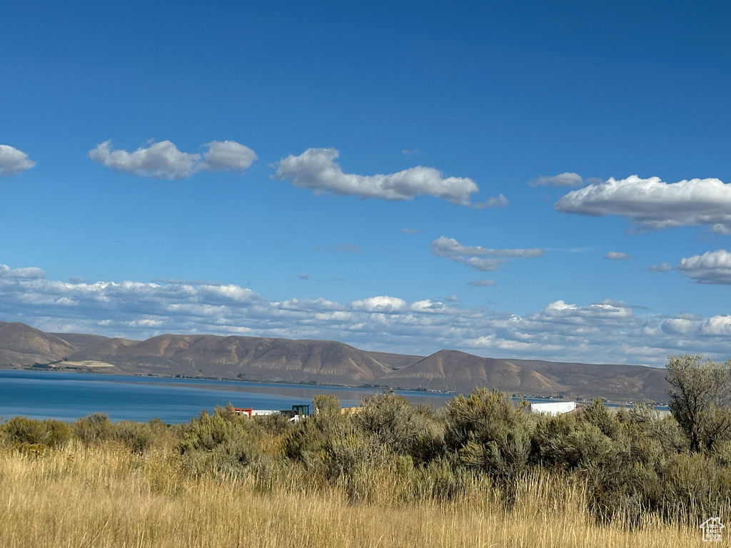 98  LOTUS DR Fish Haven, ID 83287