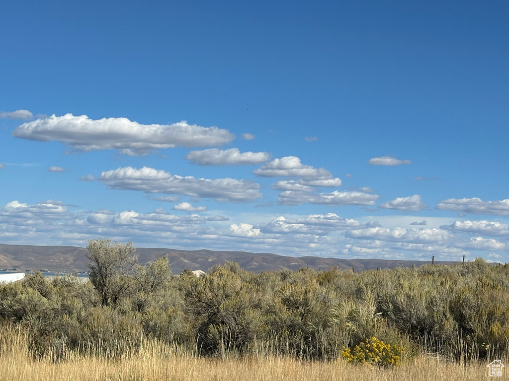 98  LOTUS DR Fish Haven, ID 83287