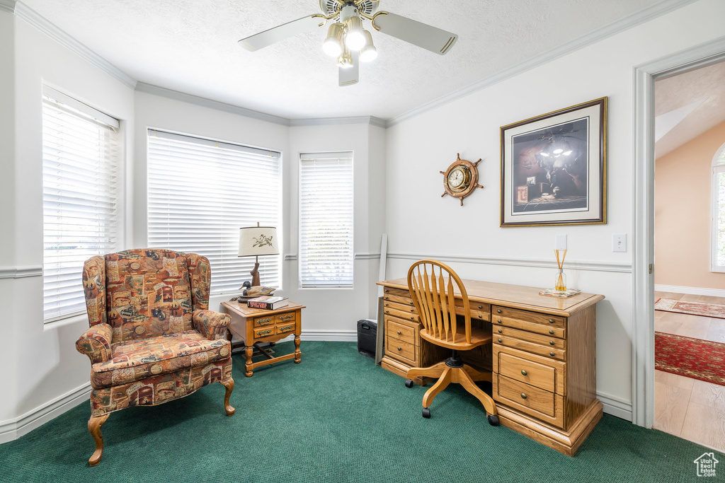 Photo 22 for MLS #2113878 at 557 S Elk Meadow Loop