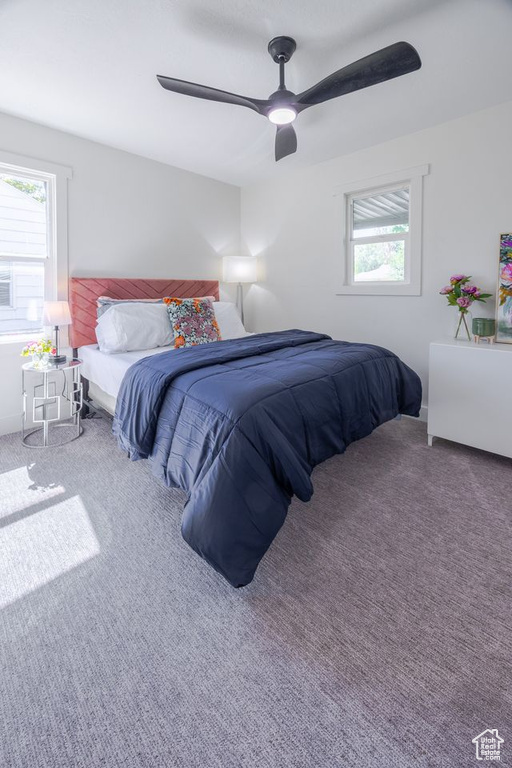 Photo 21 for MLS #2113887 at 1021 S Pueblo St
