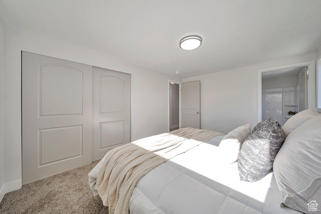 Photo 15 for MLS #2113896 at 1998 W Theckston Rd