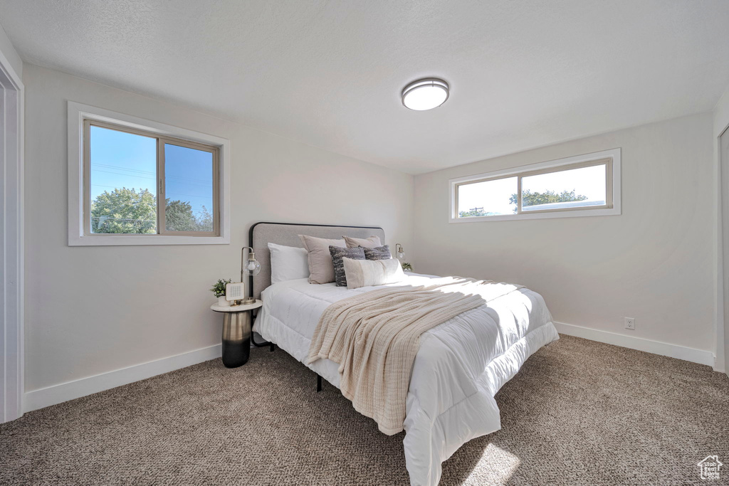 Photo 14 for MLS #2113896 at 1998 W Theckston Rd