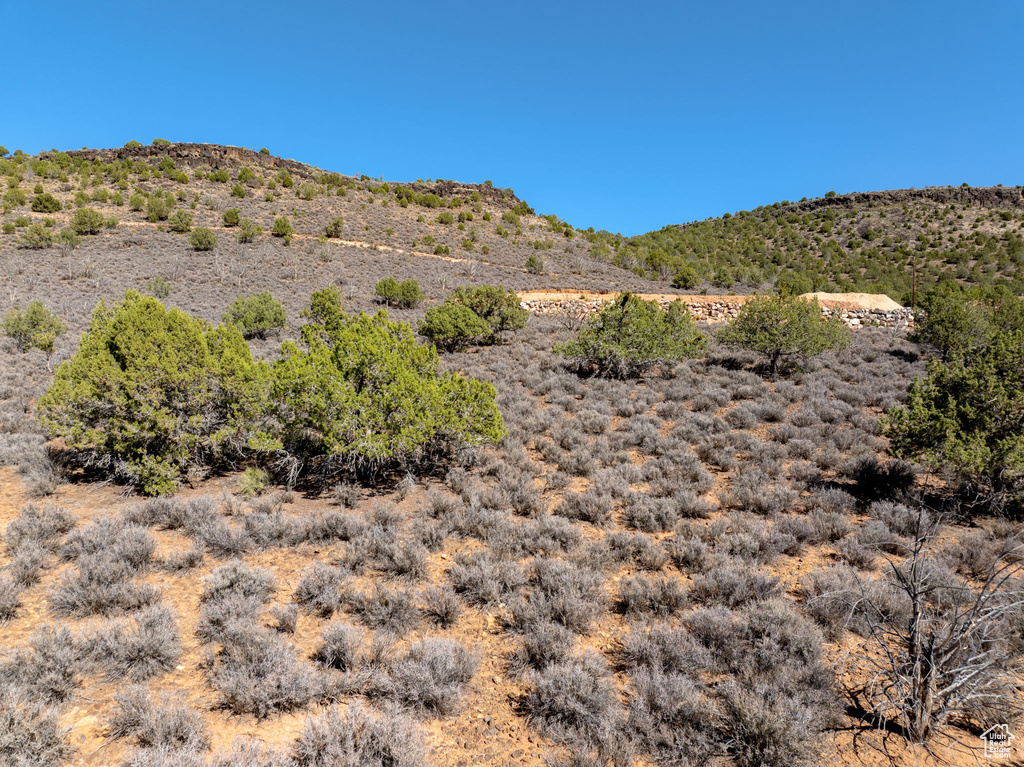  Diamond Valley, UT 84770