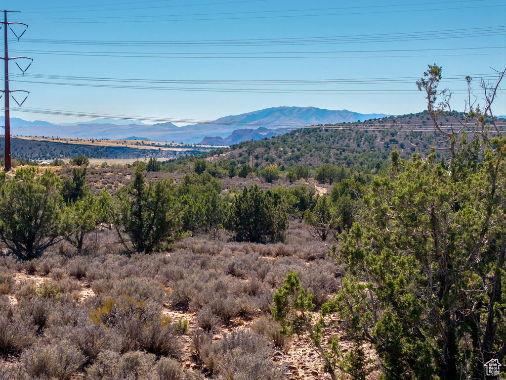  Diamond Valley, UT 84770