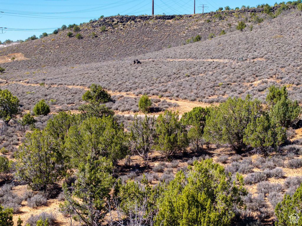  Diamond Valley, UT 84770