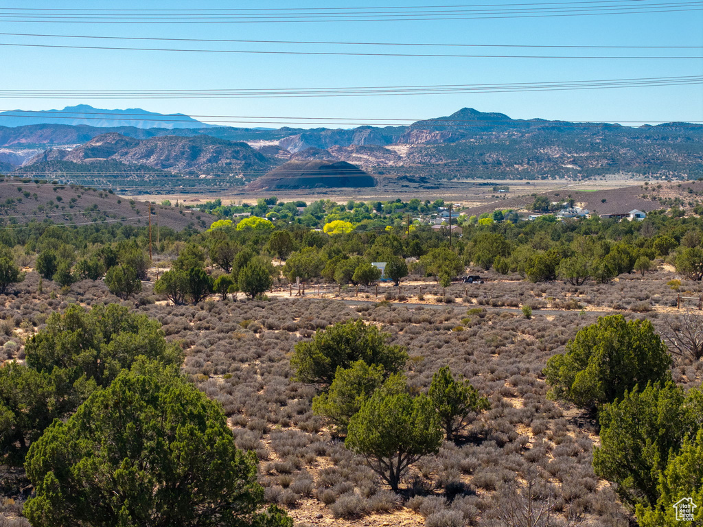  Diamond Valley, UT 84770