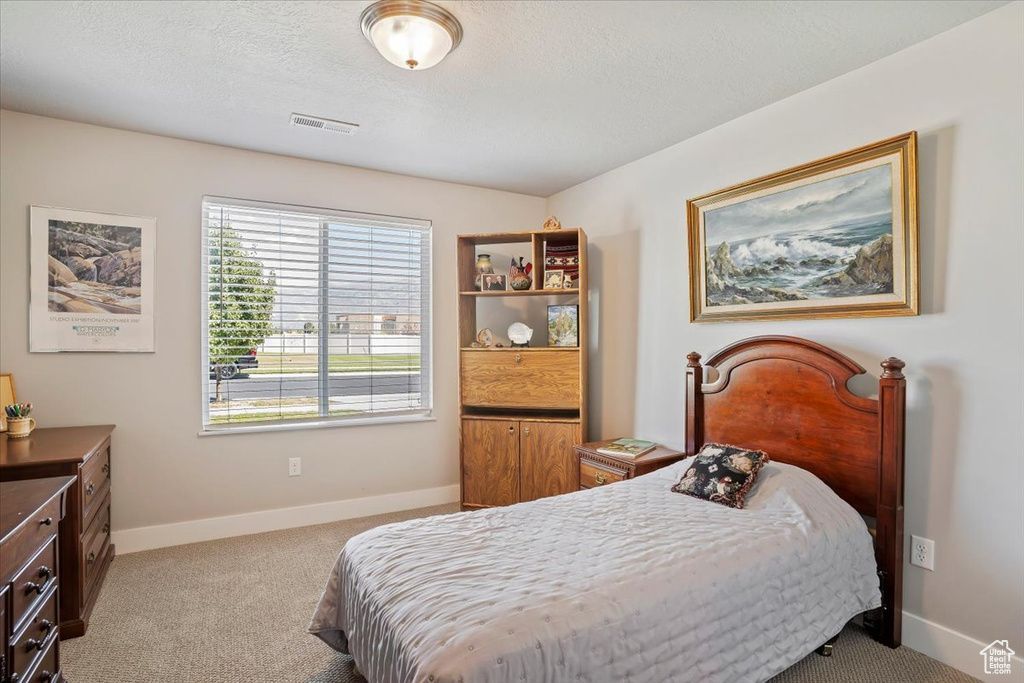 Photo 24 for MLS #2113926 at 1234 S Grace Way