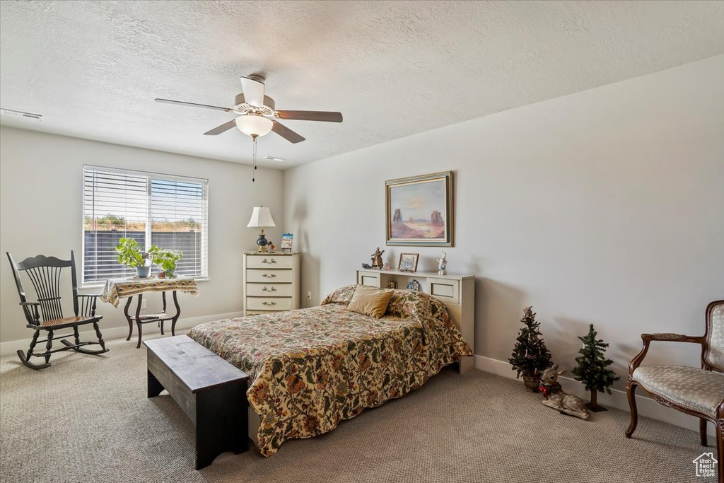 Photo 18 for MLS #2113926 at 1234 S Grace Way