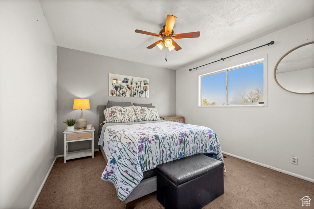 Photo 11 for MLS #2113945 at 8068 W Melville Dr