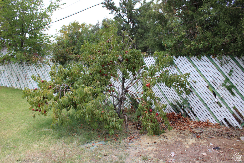 Photo 5 for MLS #2113974 at 58 1910 3920