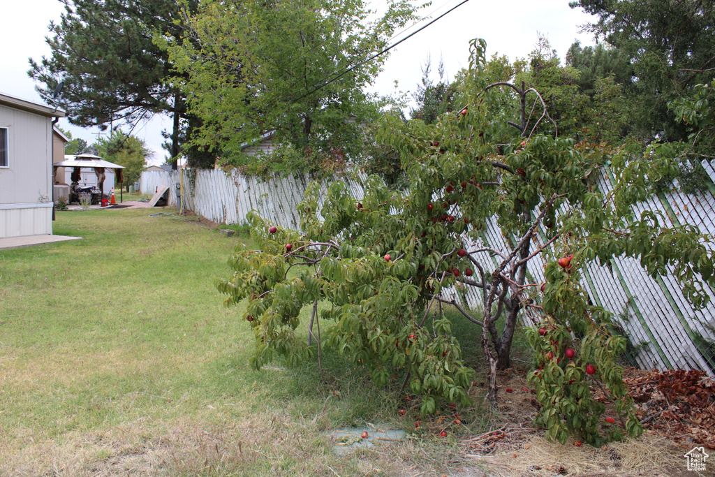 Photo 4 for MLS #2113974 at 58 1910 3920