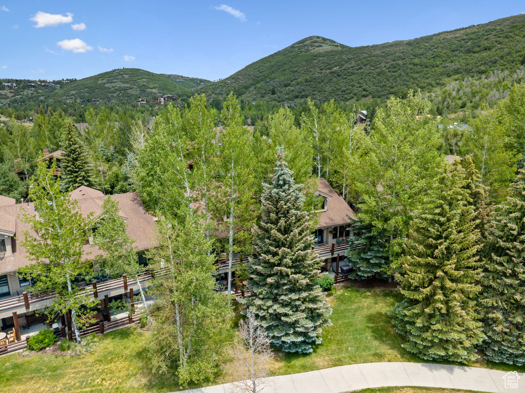 Photo 41 for MLS #2114020 at 1955 Deer Valley Dr #302