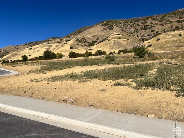 75 S GRANDISON CT Fruit Heights, UT 84037