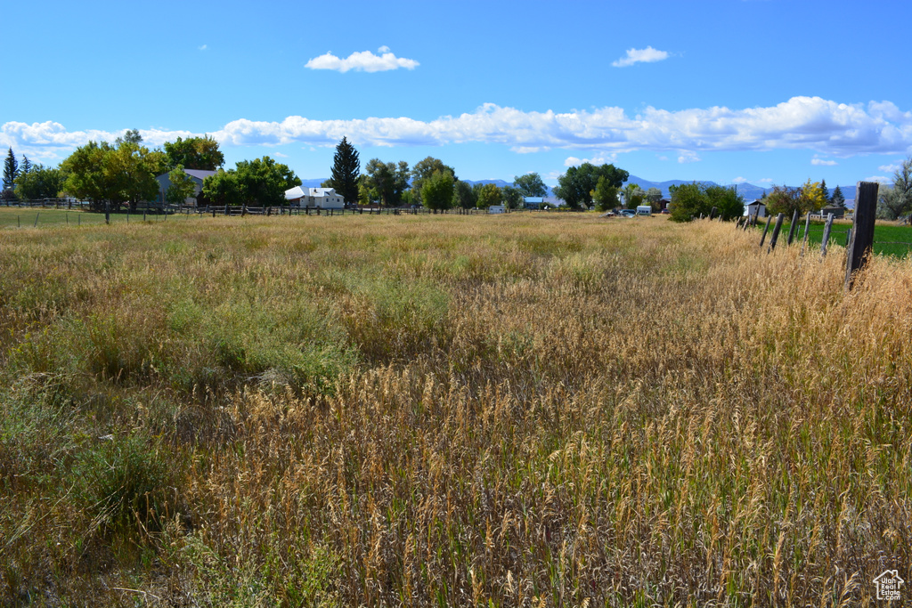 4462  DINGLE RD Dingle, ID 83233