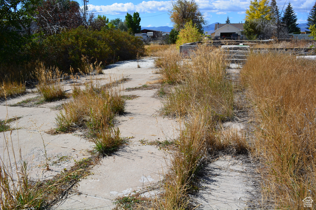 4462  DINGLE RD Dingle, ID 83233