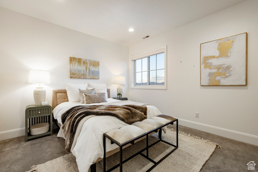 Photo 29 for MLS #2114035 at 2738 Ledger Way