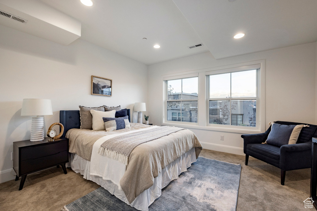 Photo 28 for MLS #2114035 at 2738 Ledger Way