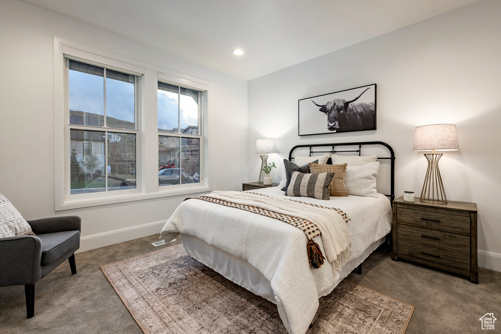 Photo 27 for MLS #2114035 at 2738 Ledger Way