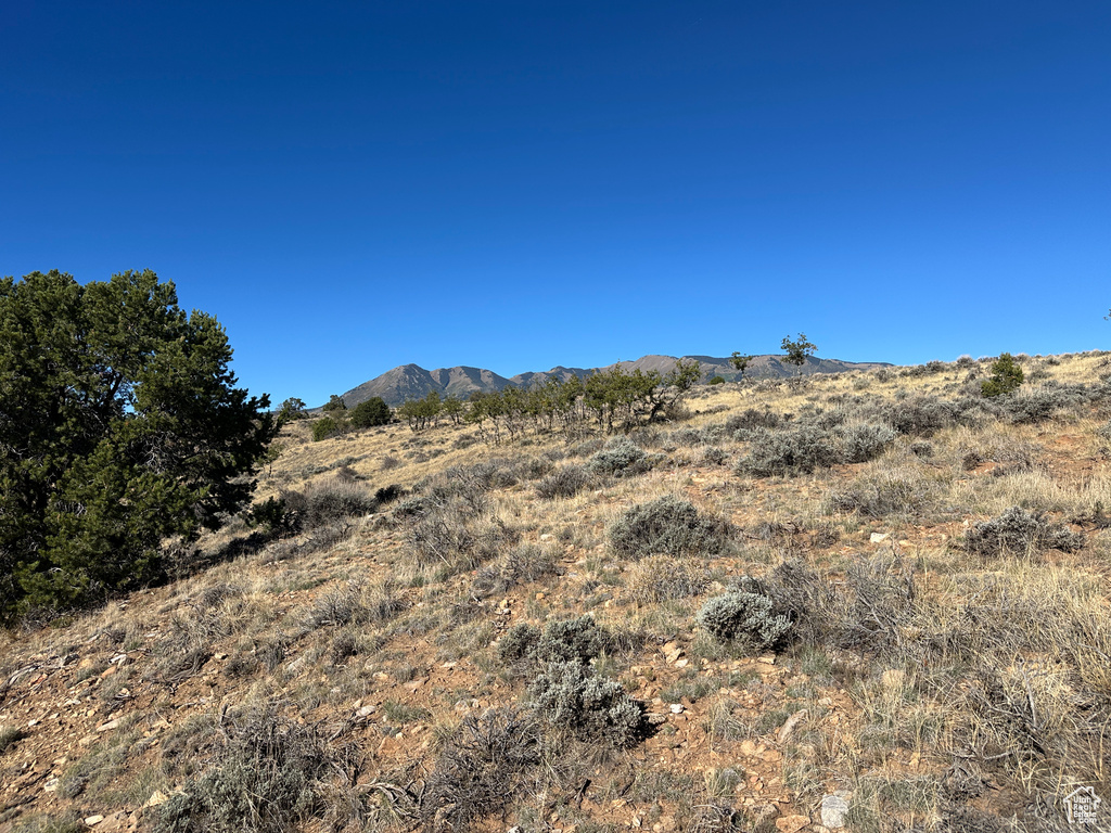 Monticello, UT 84535