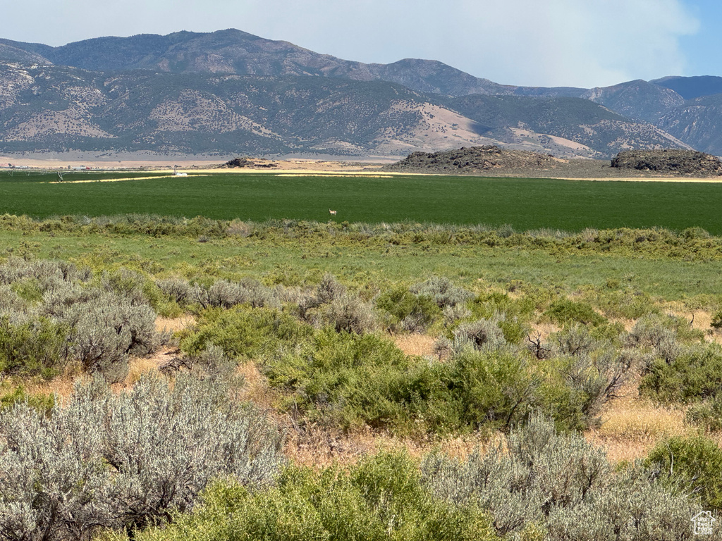 6150 S 7400 W Fillmore, UT 84631