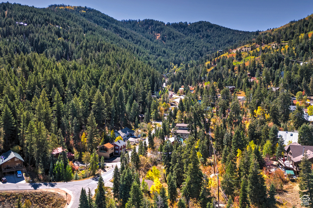 195  SAINT MORITZ STRASSE Park City, UT 84098