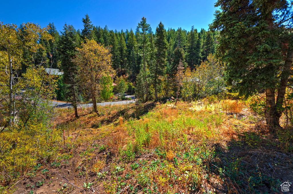 195  SAINT MORITZ STRASSE Park City, UT 84098
