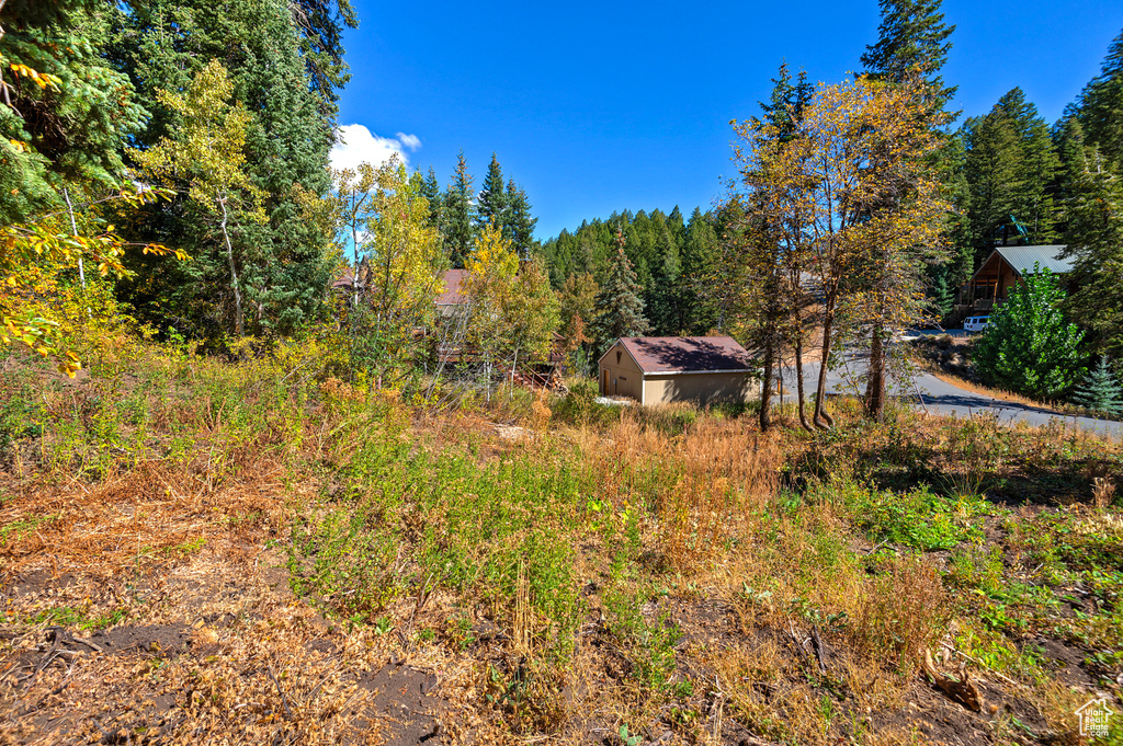 195  SAINT MORITZ STRASSE Park City, UT 84098