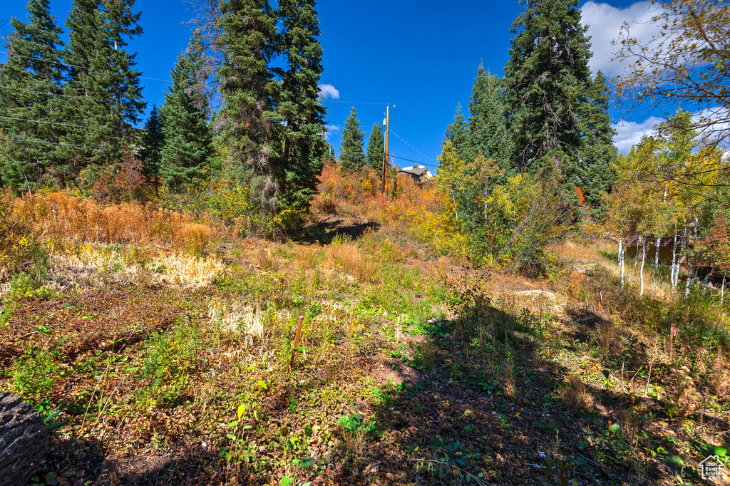 195  SAINT MORITZ STRASSE Park City, UT 84098