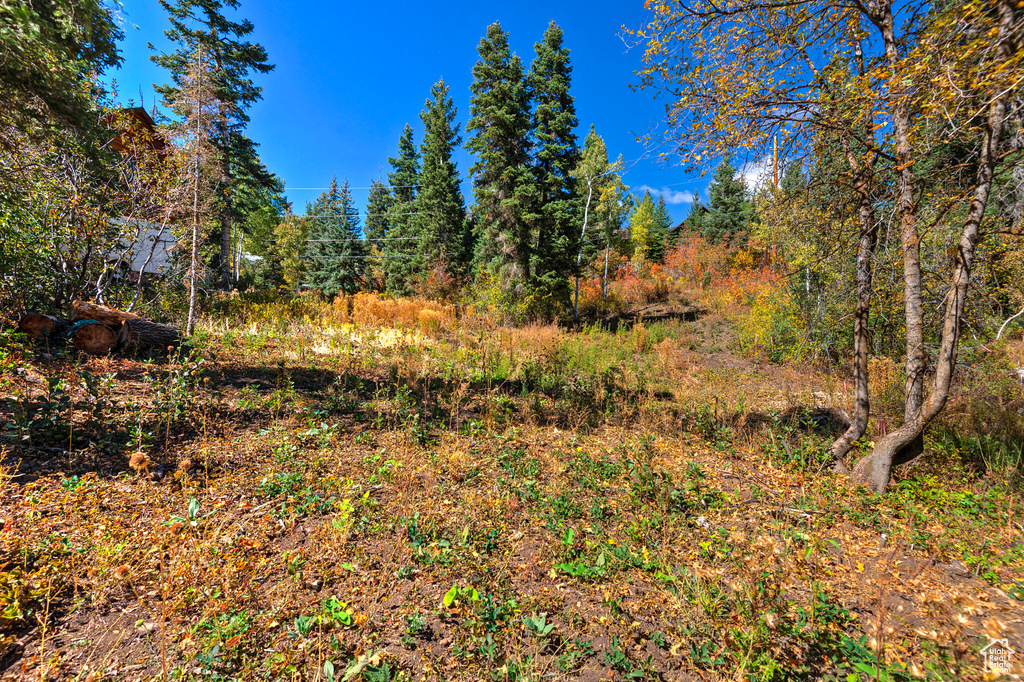 195  SAINT MORITZ STRASSE Park City, UT 84098