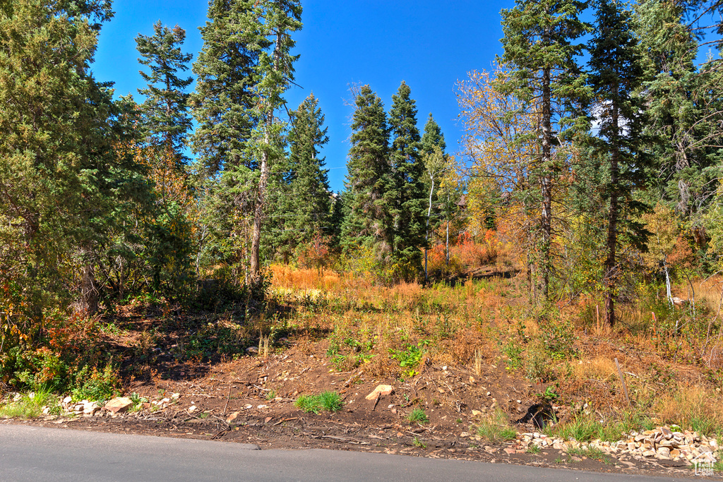 195  SAINT MORITZ STRASSE Park City, UT 84098
