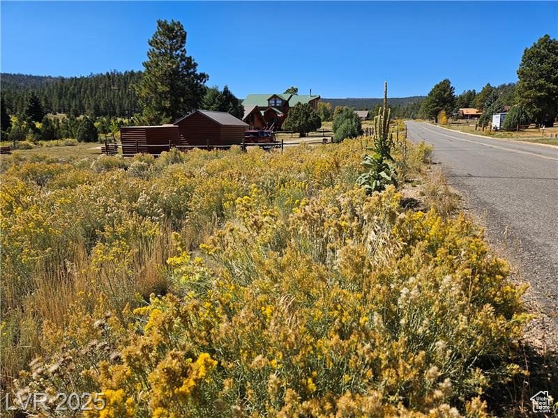 776  ASPEN MEADOW DR Hatch, UT 84735