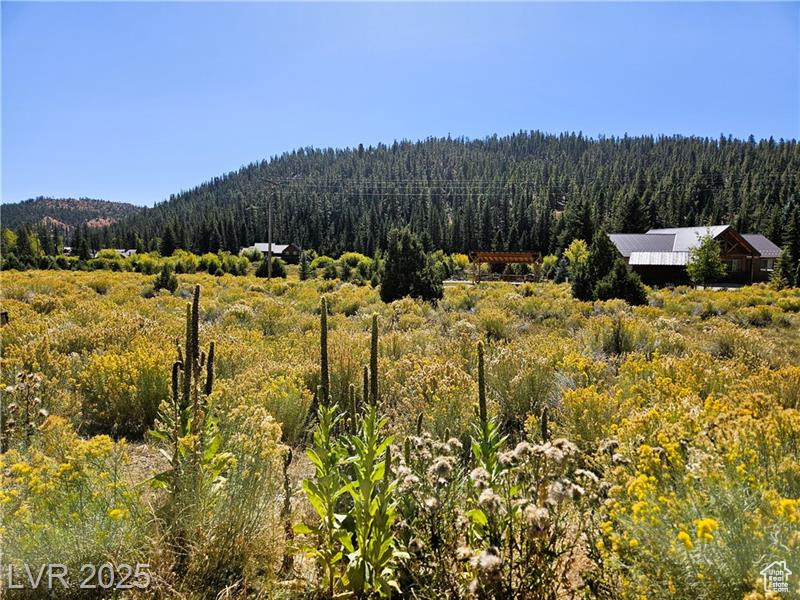 776  ASPEN MEADOW DR Hatch, UT 84735