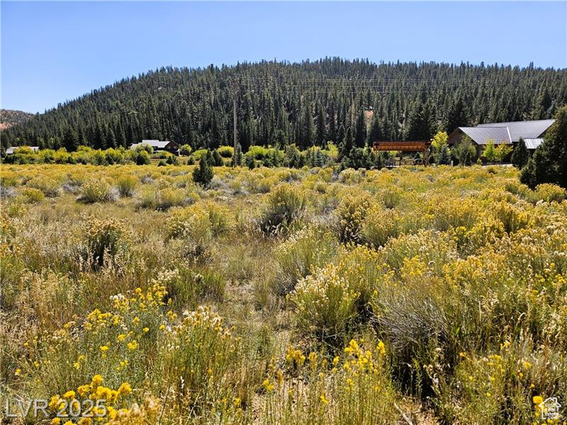 776  ASPEN MEADOW DR Hatch, UT 84735