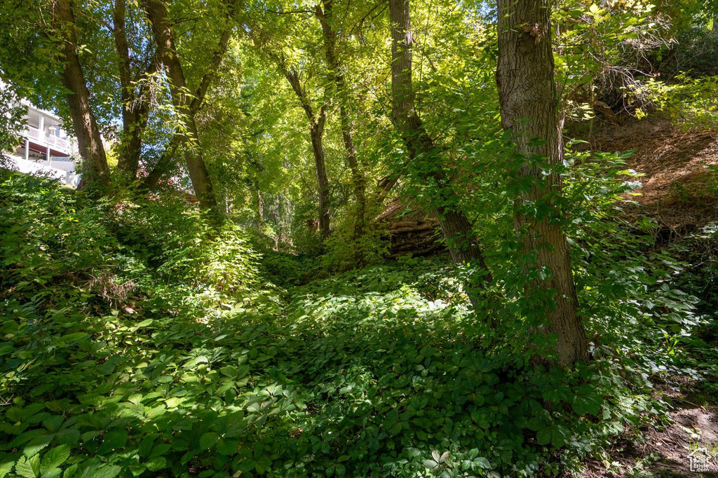 1818 E 3900 S Holladay, UT 84124