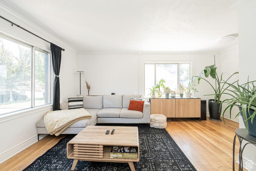 Photo 6 for MLS #2114154 at 3065 S Iowa Ave