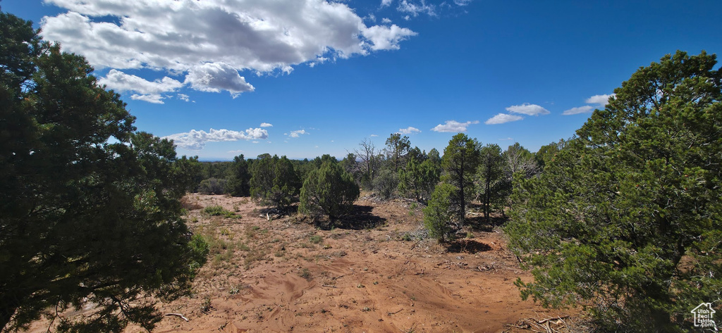 Photo 11 for MLS #2114171 at 144 Canyon Terrace Dr #56A