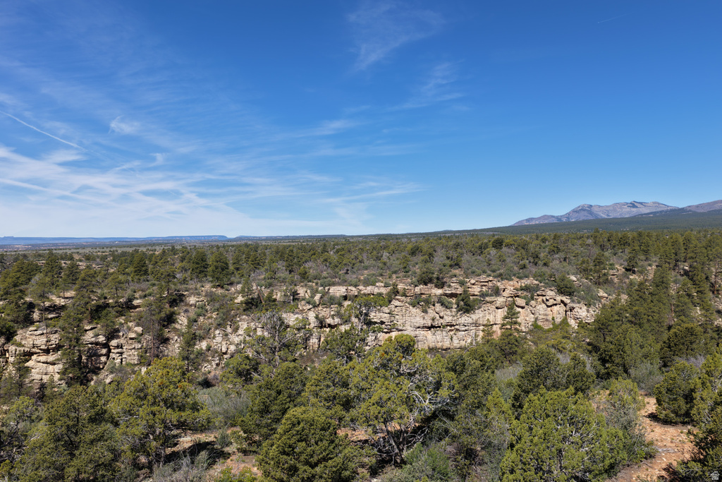 144 CANYON TERRACE DR #56A Monticello, UT 84535
