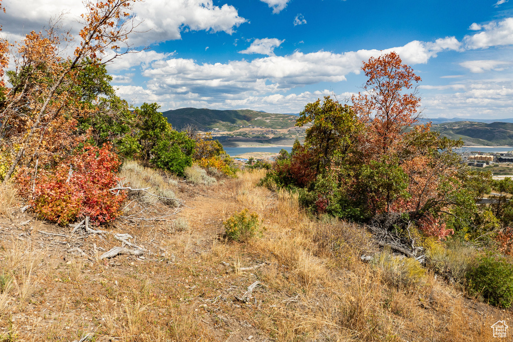 2421 W SONDER WAY Park City, UT 84060