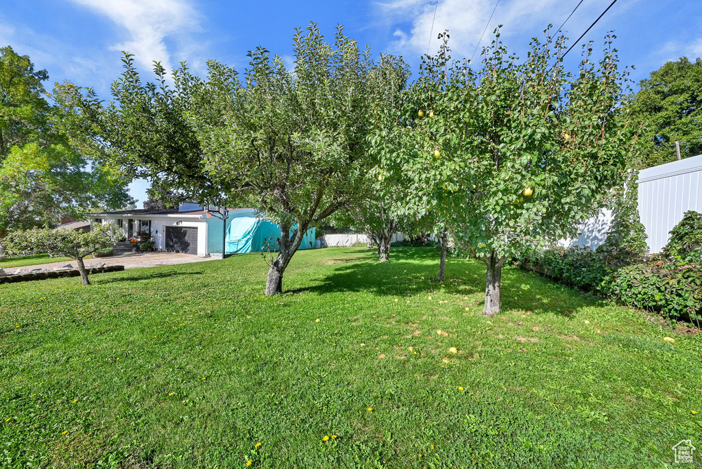 Photo 27 for MLS #2114253 at 3875 N 1000 West