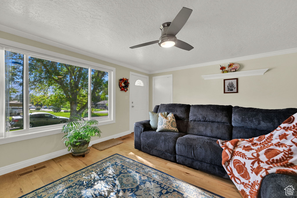 Photo 5 for MLS #2114253 at 3875 N 1000 West