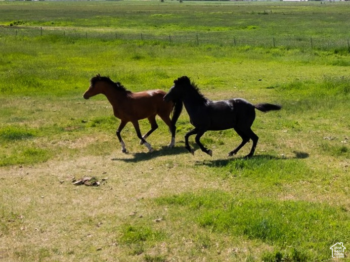 157 E COUNTRY LN Francis, UT 84036