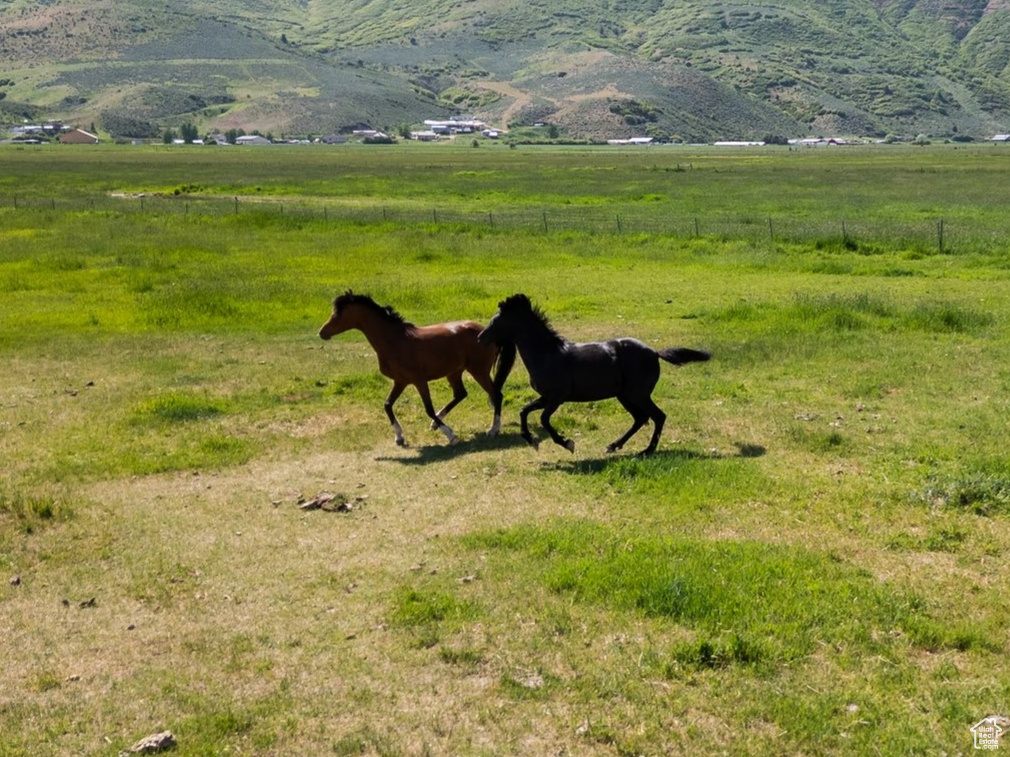 201 E COUNTRY LN Francis, UT 84036