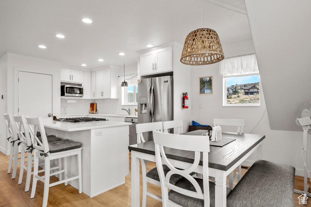 248 W CHUKAR CIR Garden City, UT 84028