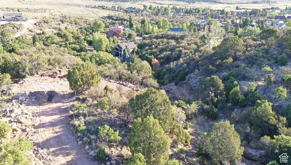 515 S OAK RIDGE CIR Pine Valley, UT 84781