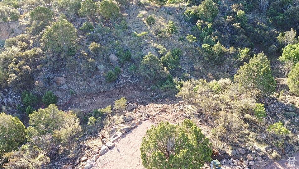 515 S OAK RIDGE CIR Pine Valley, UT 84781