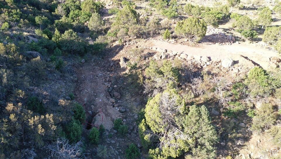 515 S OAK RIDGE CIR Pine Valley, UT 84781